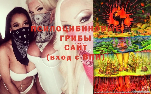 метамфетамин Богданович