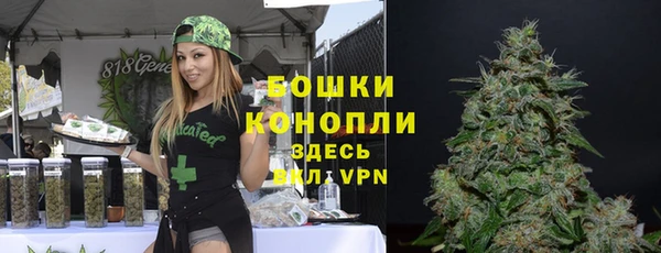 спиды Медвежьегорск