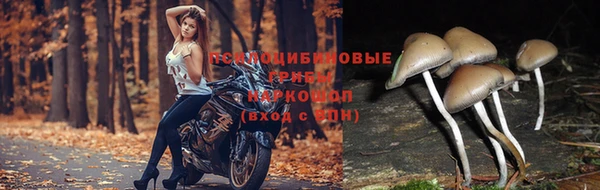 меф Богородицк