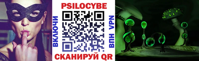где купить наркотик  Назарово  Галлюциногенные грибы Psilocybine cubensis 